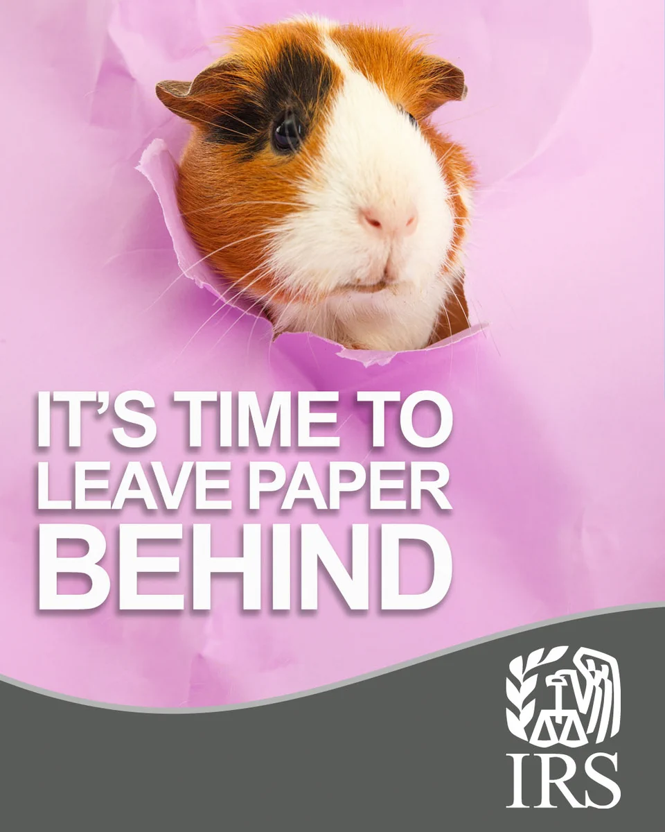 Hamster popping out of pink background. TEXT: ‘It’s time to leave paper behind. Grey ribbon below. IRS logo also available.  